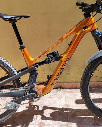 Canyon Spectral ONfly (Ebike-Emtb-Enduro)