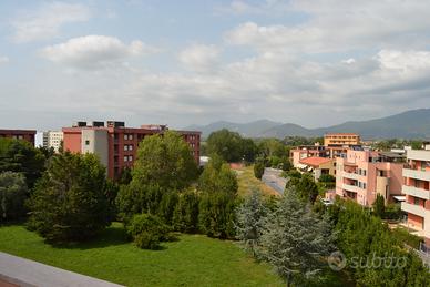 Apartment Bellavista