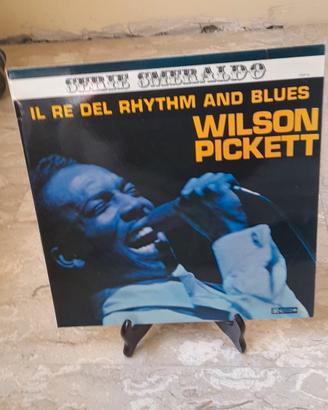 vari vinili vedere foto