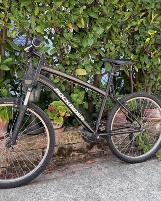 Bicicletta mountain bike