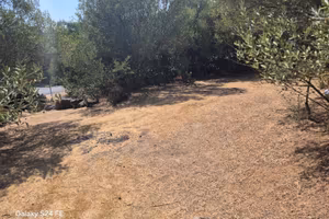 Terreno Agricolo - Quartu Sant'Elena