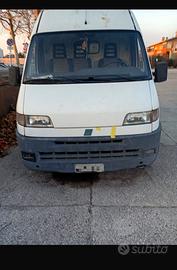 Ducato