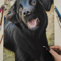 Quadro,dipinto, pastello,disegno