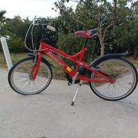bicicletta 