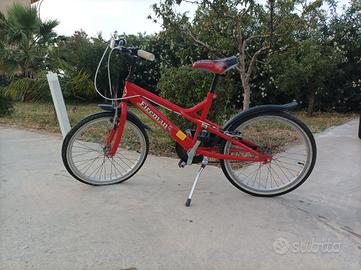 bicicletta 