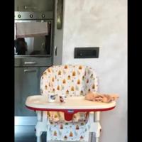 seggiolone prima pappa