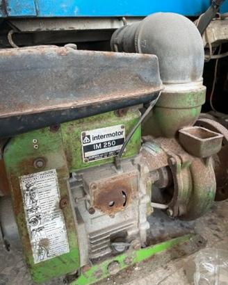 Intermotor IM 250
