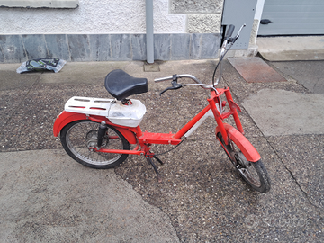 Telaio benelli gentlemen