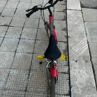 Bici bibo
