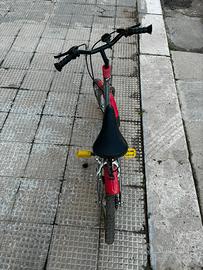 Bici bibo