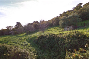 Piccolo appezzamento di terreno