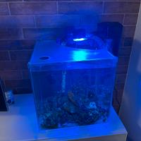 Acquario