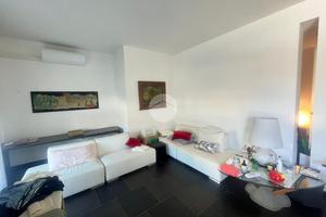 4 LOCALI A VIAREGGIO
