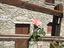 Immagine 14