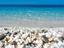 Immagine 23