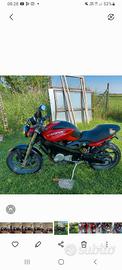 cagiva raptor 