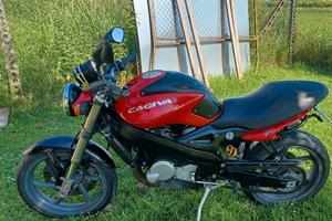 cagiva raptor 