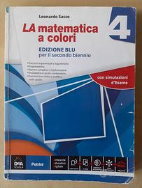 La matematica a colori vol.4