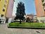 Immagine 22