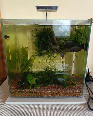 Acquario 50 lt