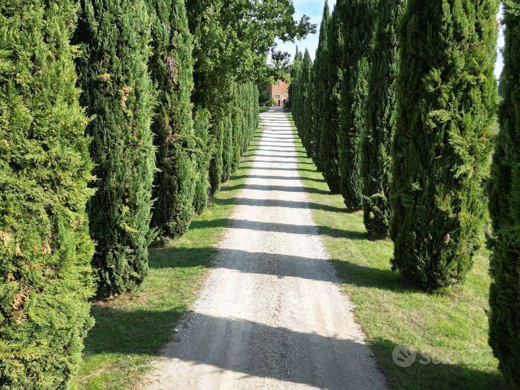 Rustico / Casale di 530 m² con più di 5 locali e b - Vista 4