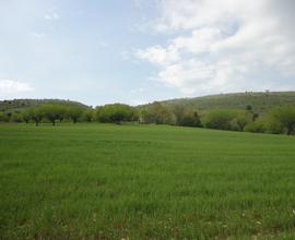 RUSTICO IN PIETRA con annesso terreno agricolo