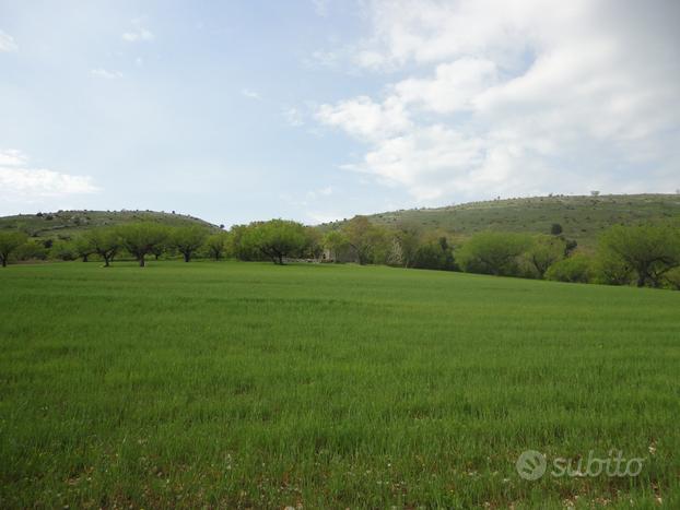 RUSTICO IN PIETRA con annesso terreno agricolo