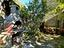 Immagine 26