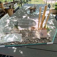 vasca per pesci/tartarughe 