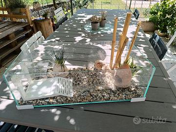 vasca per pesci/tartarughe 