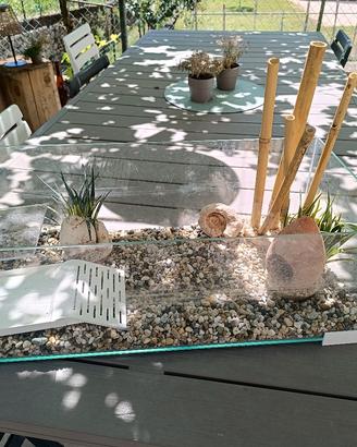 vasca per pesci/tartarughe 