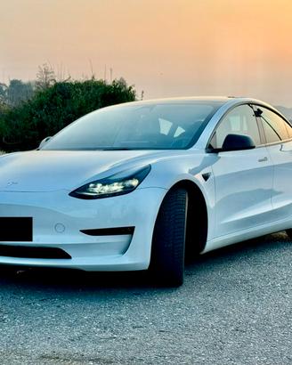 Tesla Model 3 Performance 2021 | Full Carbon