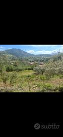 Terreno agricolo