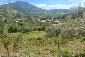 Terreno agricolo