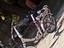 Immagine 3