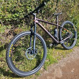 Bergamont revox 7 con magura mt5 maxxis e dischi