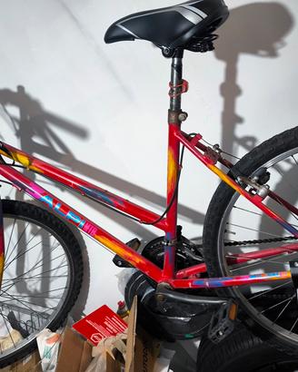 bici unisex