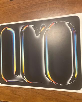 Ipad Pro 13’’ M5 256GB