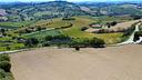terreno-agricolo-a-montegranaro