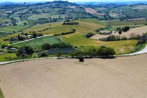Terreno Agricolo a Montegranaro