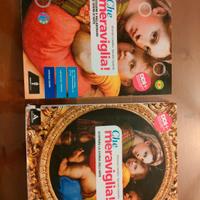 libro storia  dell' Arte "Che meraviglia"