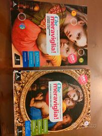 libro storia  dell' Arte "Che meraviglia"