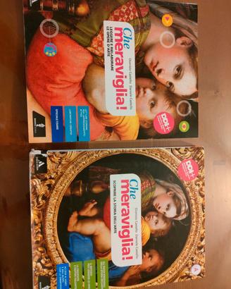 libro storia  dell' Arte "Che meraviglia"