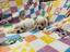 Immagine 13