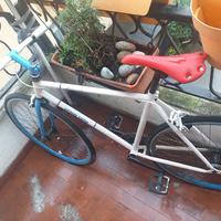 bici da corsa 