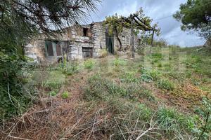 Rustico/Casale/Corte Liberi [Cod. rif 3279759VCG]