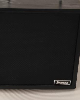cassa amplificata basso