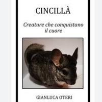 Cincillà - Creature che conquistano il cuore 