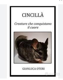 Cincillà - Creature che conquistano il cuore 