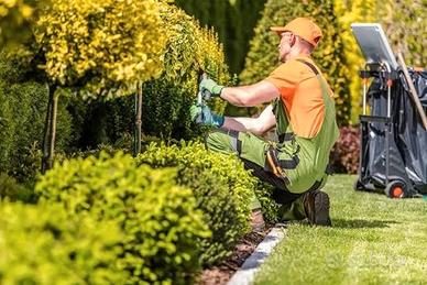 PULIZIA E SISTEMAZIONE DI GIARDINI 